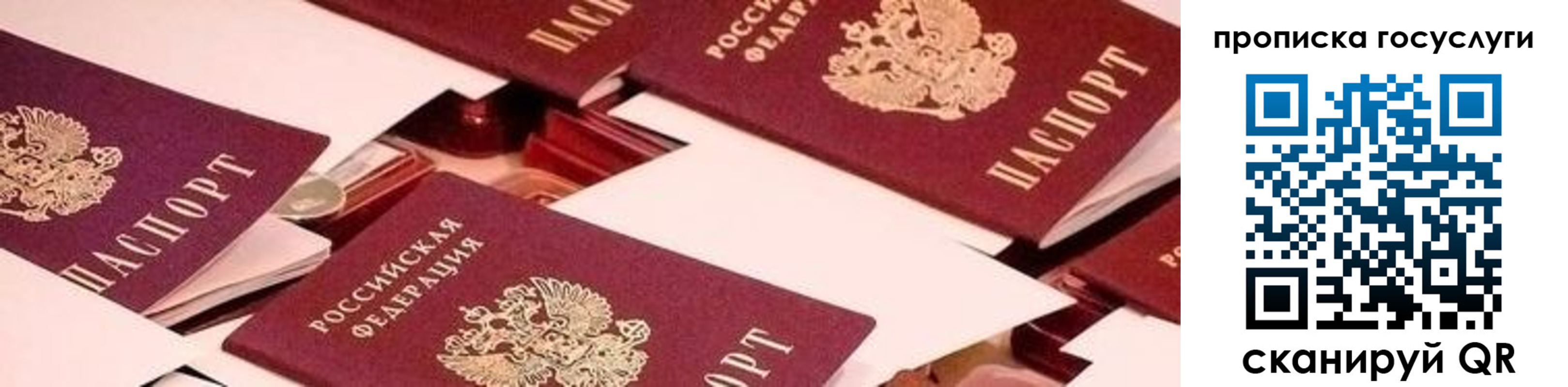 регистрация в Лодейном Поле